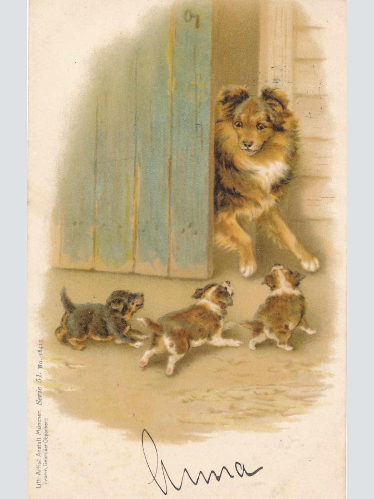 Motiv - Karte Hundemutter mit drei Welpen Ansichtskarte (10378)