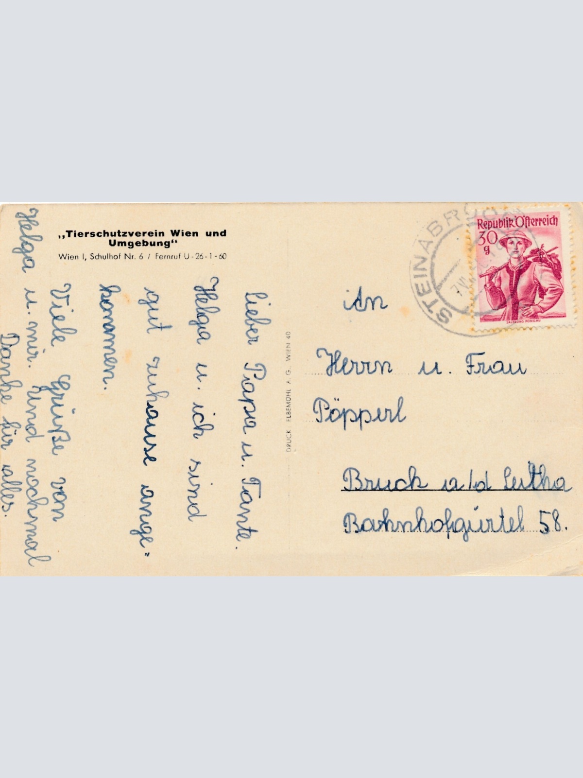 Motiv - Karte von einem Schäferhund Ansichtskarte (10379)