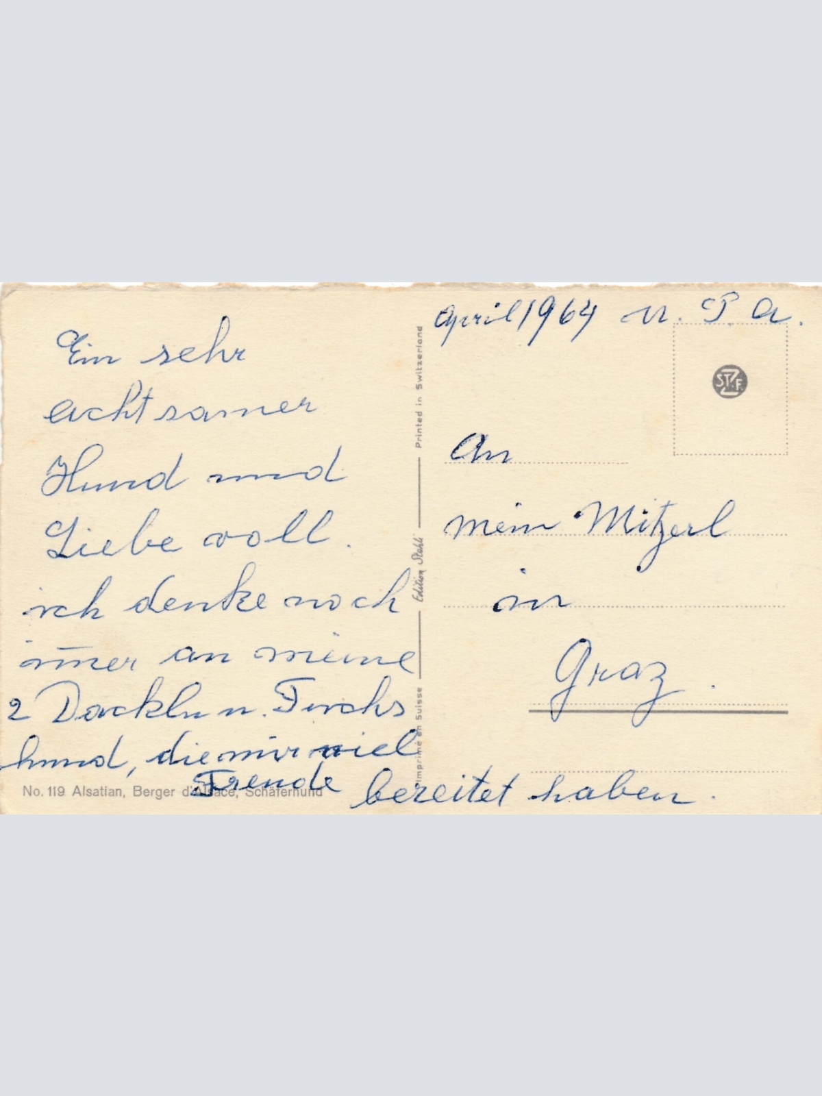 Motiv - Karte von einem Schäferhund Welpen Ansichtskarte (10381)