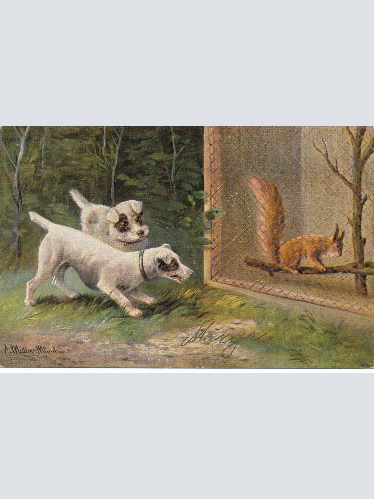 Motiv - Karte von zwei Hunden und einem Eichhörnchen Ansichtskarte (10376)