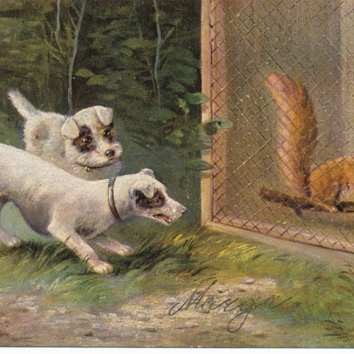 Motiv - Karte von zwei Hunden und einem Eichhörnchen Ansichtskarte (10376)