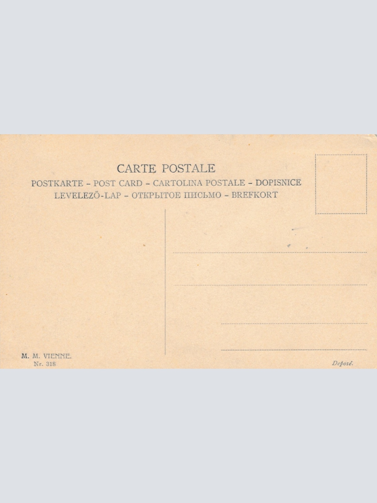 Motiv - Karte von drei Hunden mit Katze Ansichtskarte (10365)