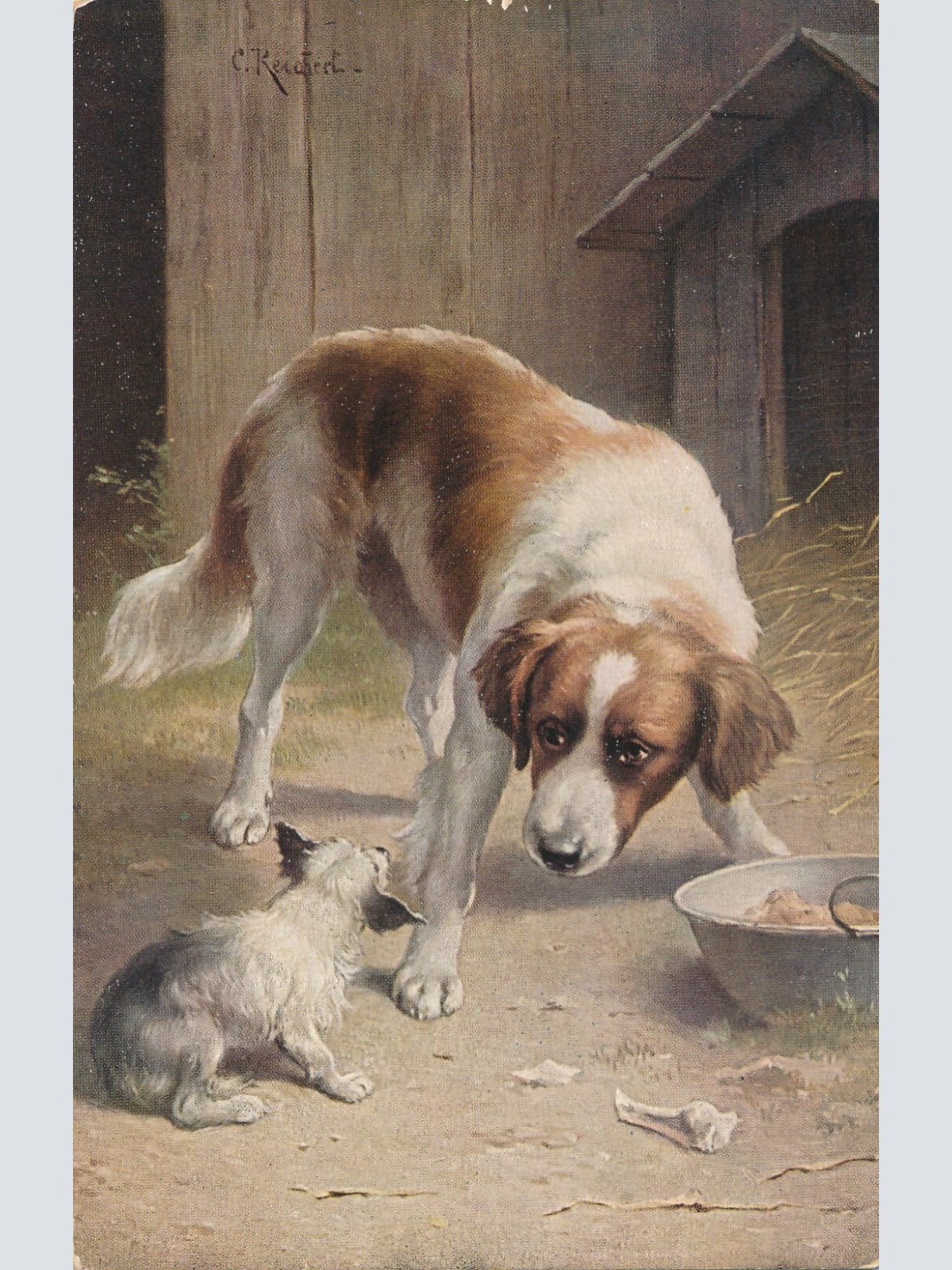 Motiv - Karte zwei Hunden Ansichtskarte (10369)