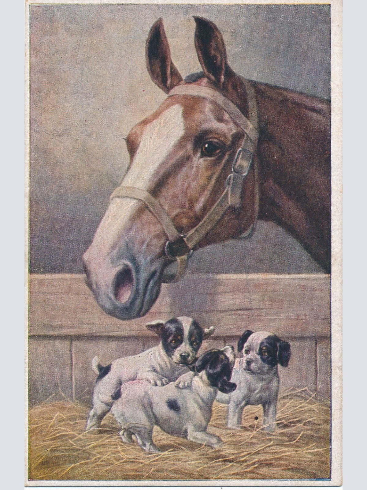 Motiv - Karte drei Hunden mit Pferd Ansichtskarte (10370)