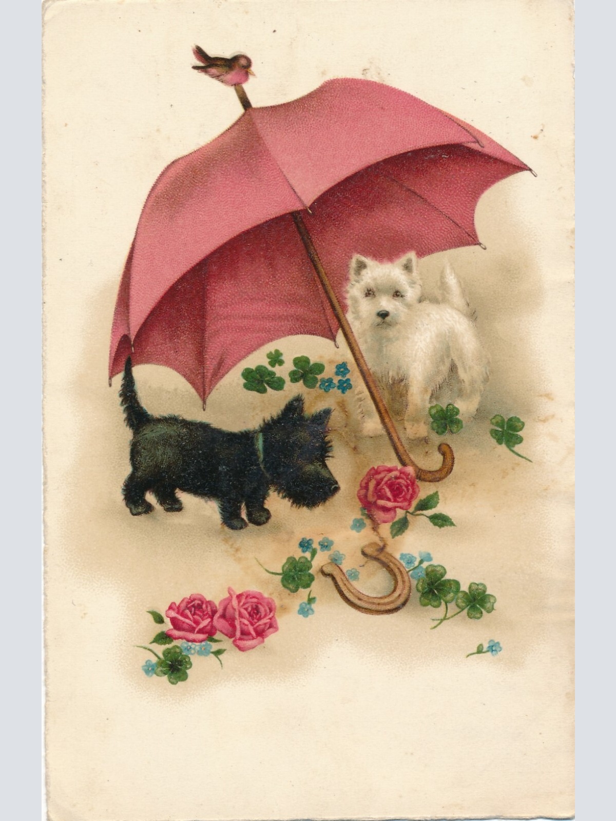 Motiv - Karte von zwei Hunden mit Regenschirm Ansichtskarte (10373)