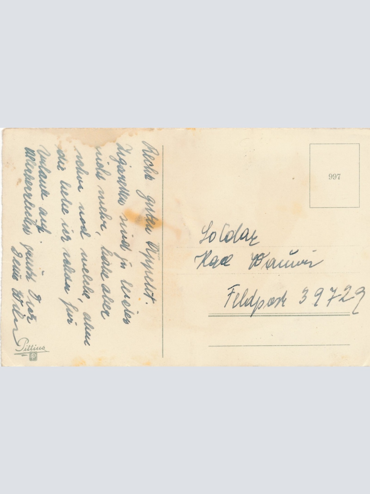 Motiv - Karte von zwei Hunden mit Regenschirm Ansichtskarte (10373)