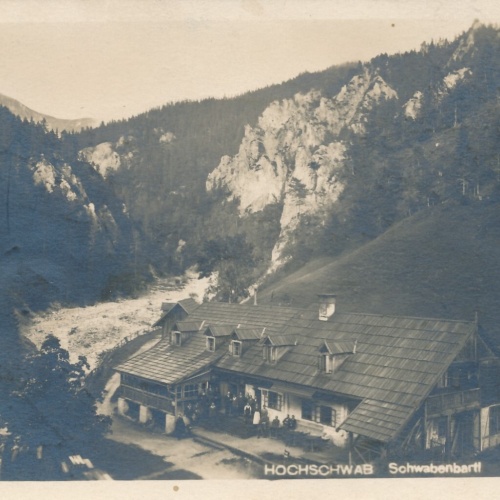 AK aus Hochschwab Schwabenbartl Steiermark Ansichtskarte (10974)