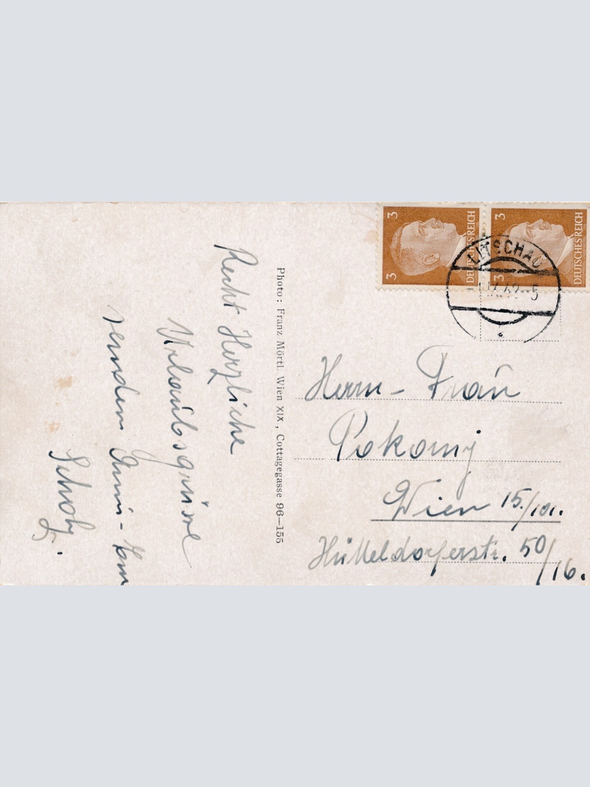 AK aus Litschau Niederösterreich Ansichtskarte (10956)