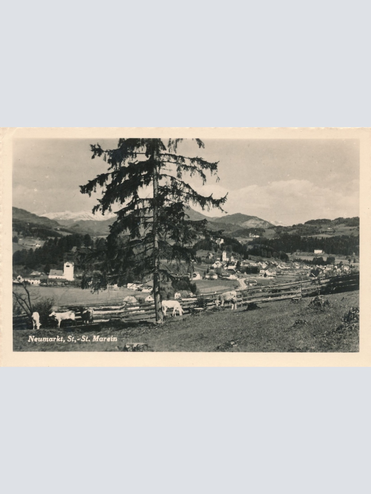 AK aus Neumarkt Steiermark Ansichtskarte (10839)