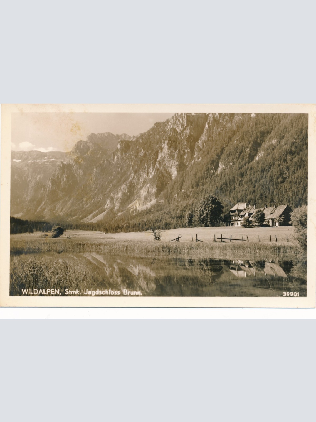 AK aus Wildalpen Steiermark Ansichtskarte (11406)