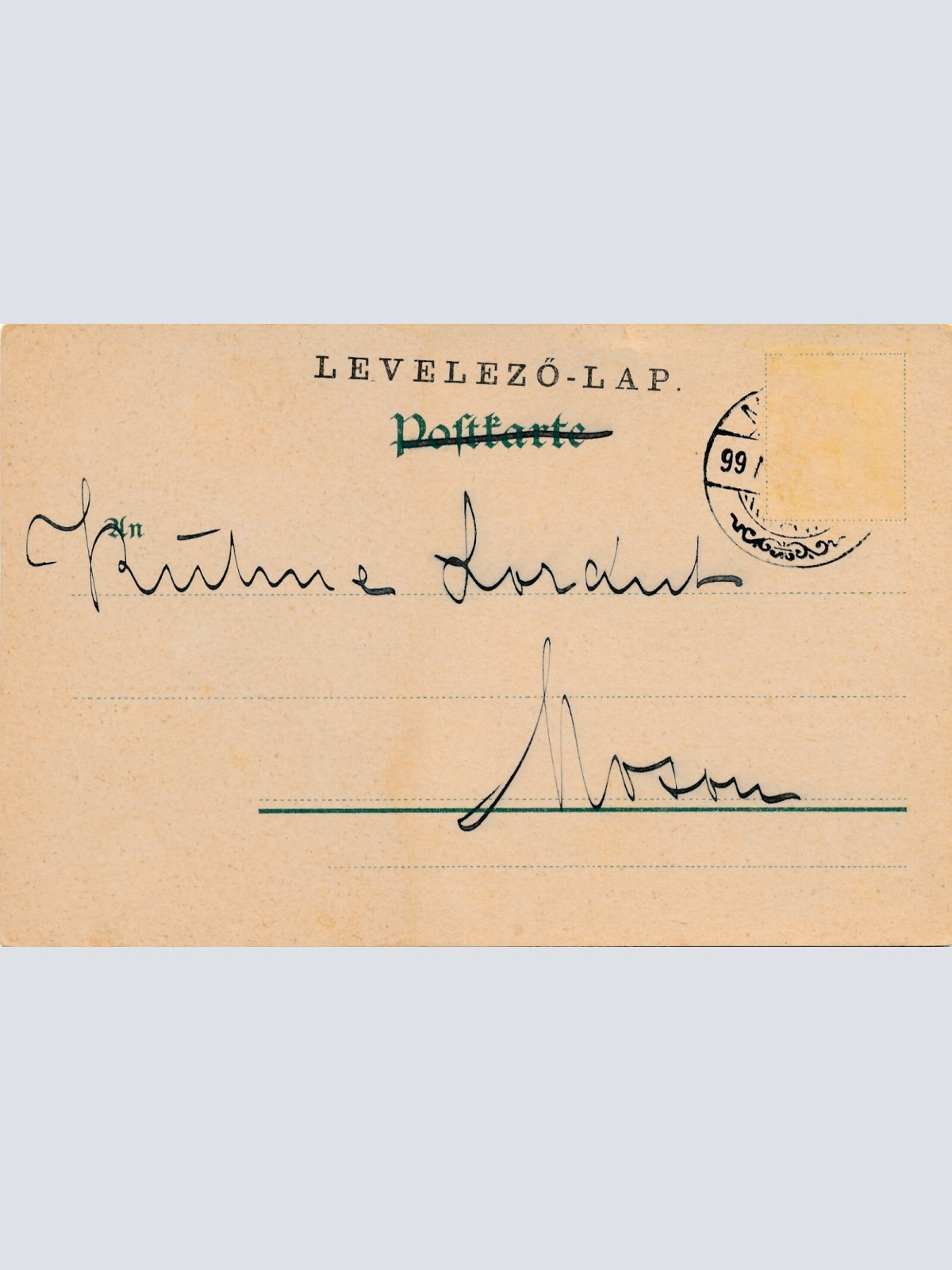 Motiv - Karte von kleinen Welpen (10353)