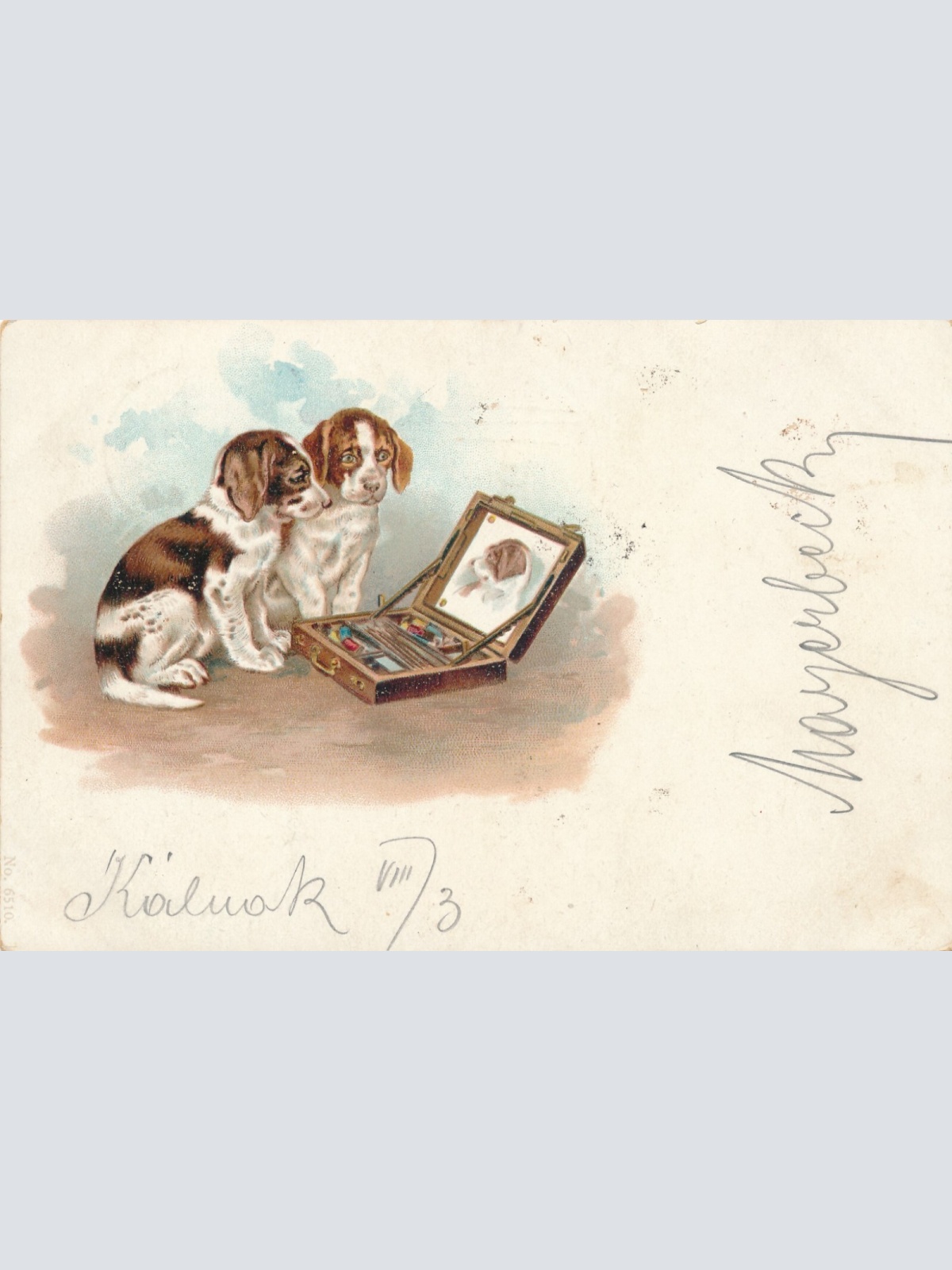 Motiv - Karte von zwei Hunden vor einem Spiegel Ansichtskarte (10355)