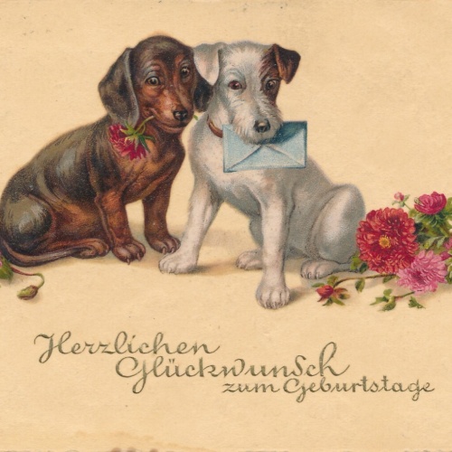 Motiv - Karte von zwei Hunden Herzlichen Glückwunsch zum Geburtstag (10356)
