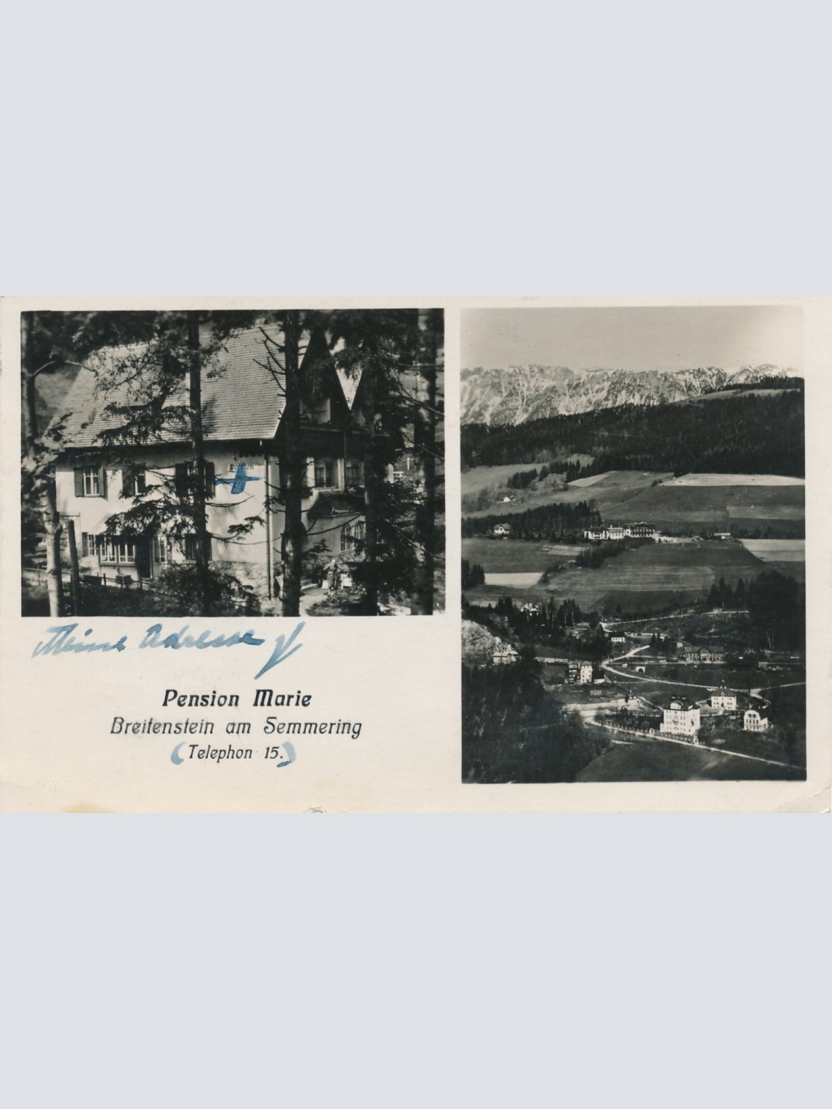 AK aus Breitenstein mit Pension Marie Niederösterreich Ansichtskarte (11445)