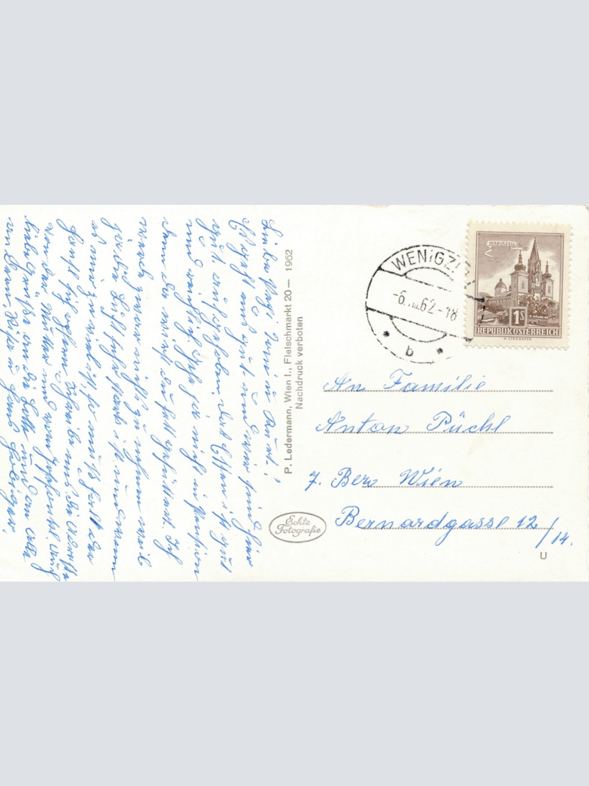 AK aus Wenigzell mit Kühen Steiermark Ansichtskarte (12036)