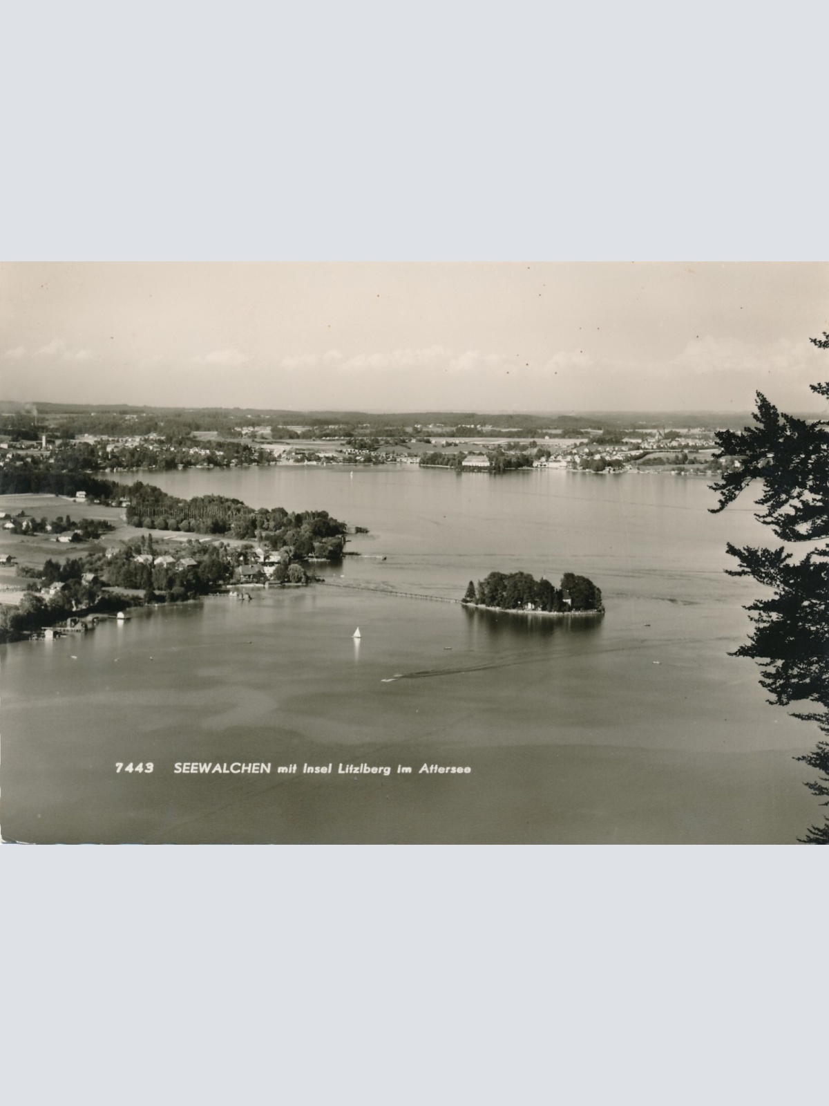 AK aus Seewalchen mit Insel Litzlberg Oberösterreich Ansichtskarte (11758)