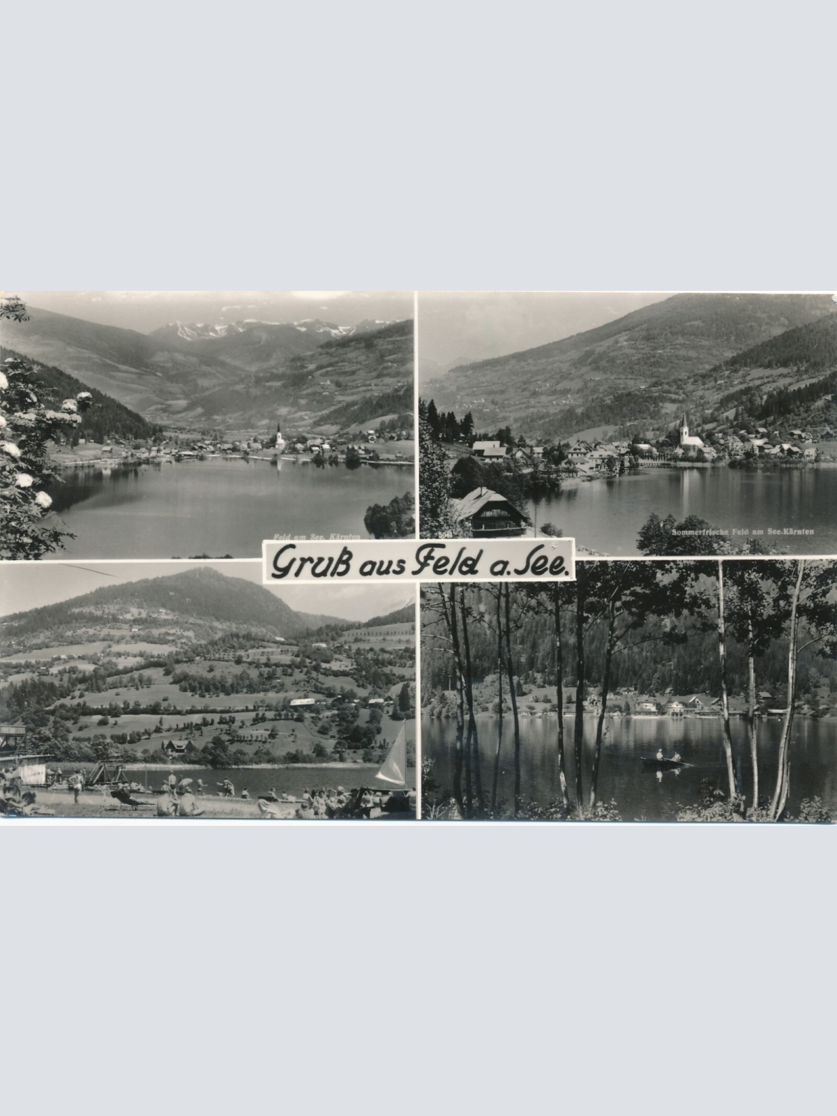 AK gruß aus Feld am See Mehrbildkarte Kärnten Ansichtskarte (12163)
