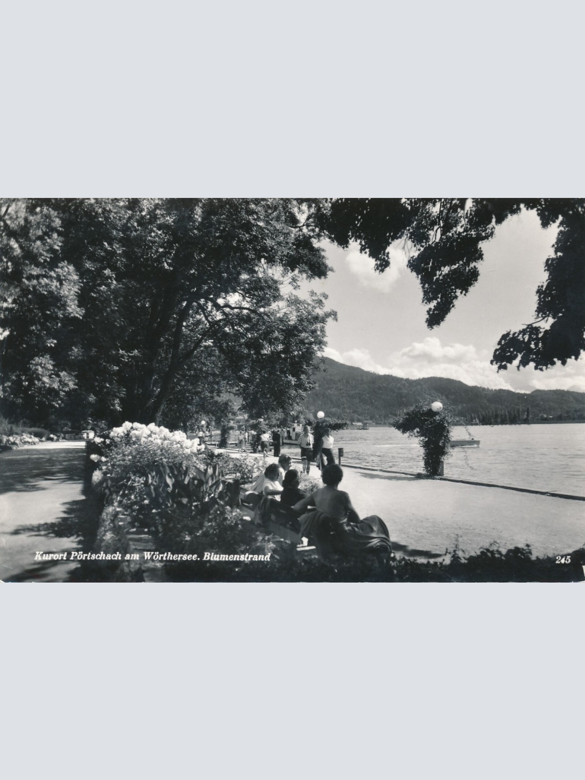 AK aus Pörtschach mit Blumenstrand Kärnten Ansichtskarte (12212)