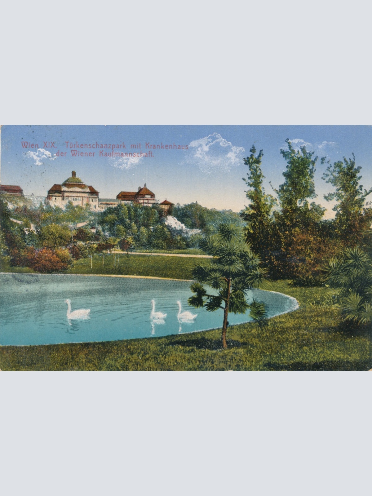 AK aus Wien Türkenschanzpark Ansichtskarte (12519)