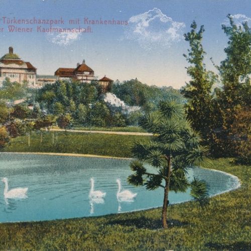AK aus Wien Türkenschanzpark Ansichtskarte (12519)