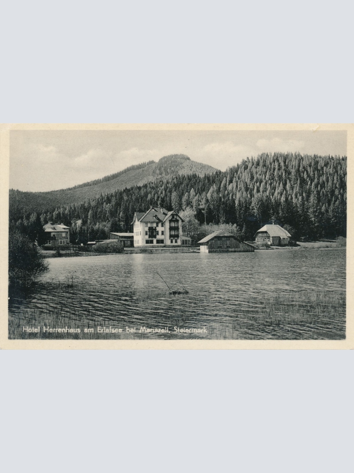 AK vom Hotel Herrenhausen am Erlafsee Steiermark Ansichtskarte (12627)