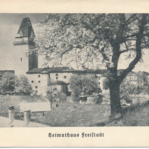AK aus Freistadt Heimathaus Oberösterreich Ansichtskarte (12823)