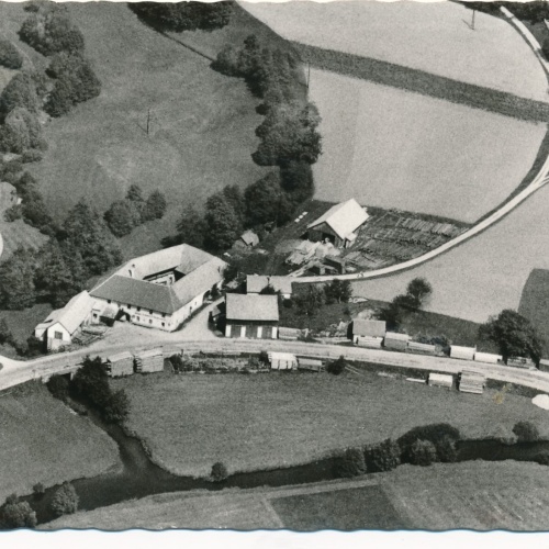 AK Pierbach mit Gasthaus und Säge Riegler Oberösterreich Ansichtskarte (12867)