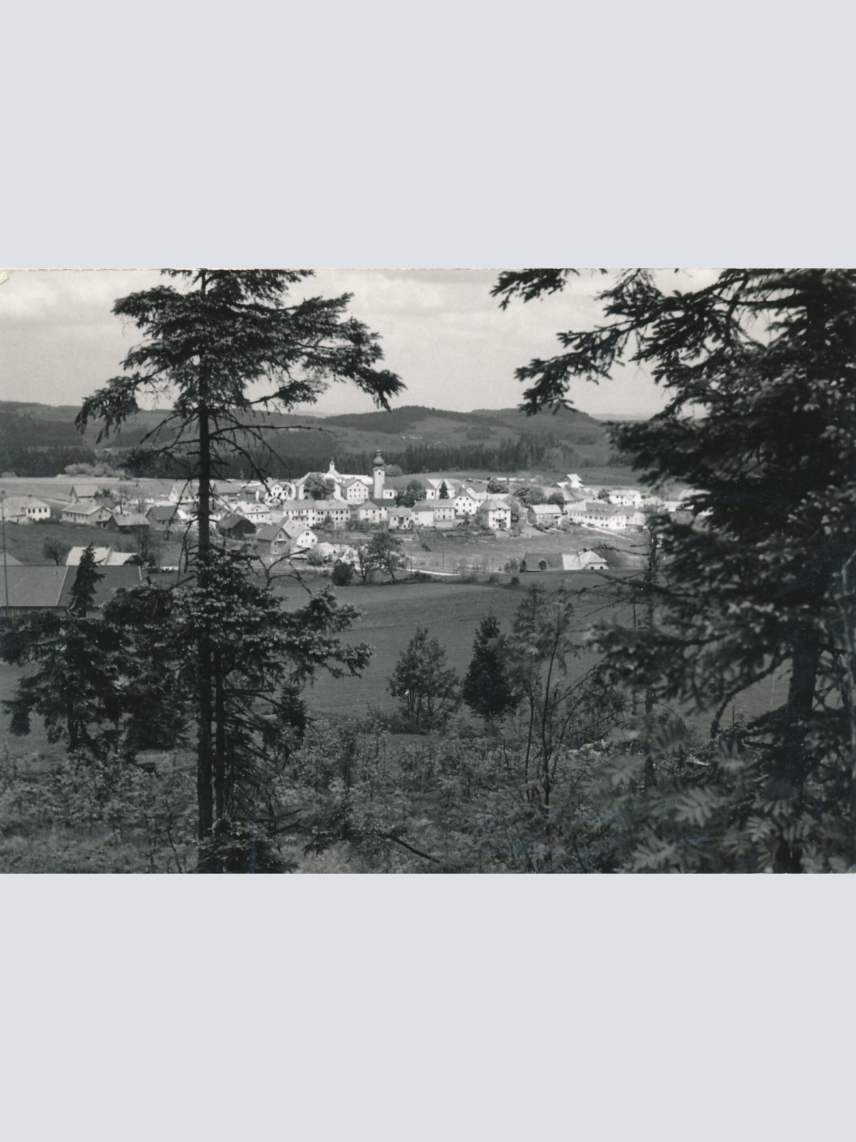 AK aus Liebenau Oberösterreich Ansichtskarte (12884)