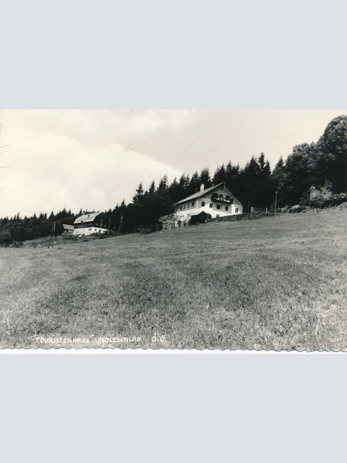 AK aus Holzschlag Oberösterreich (12923)