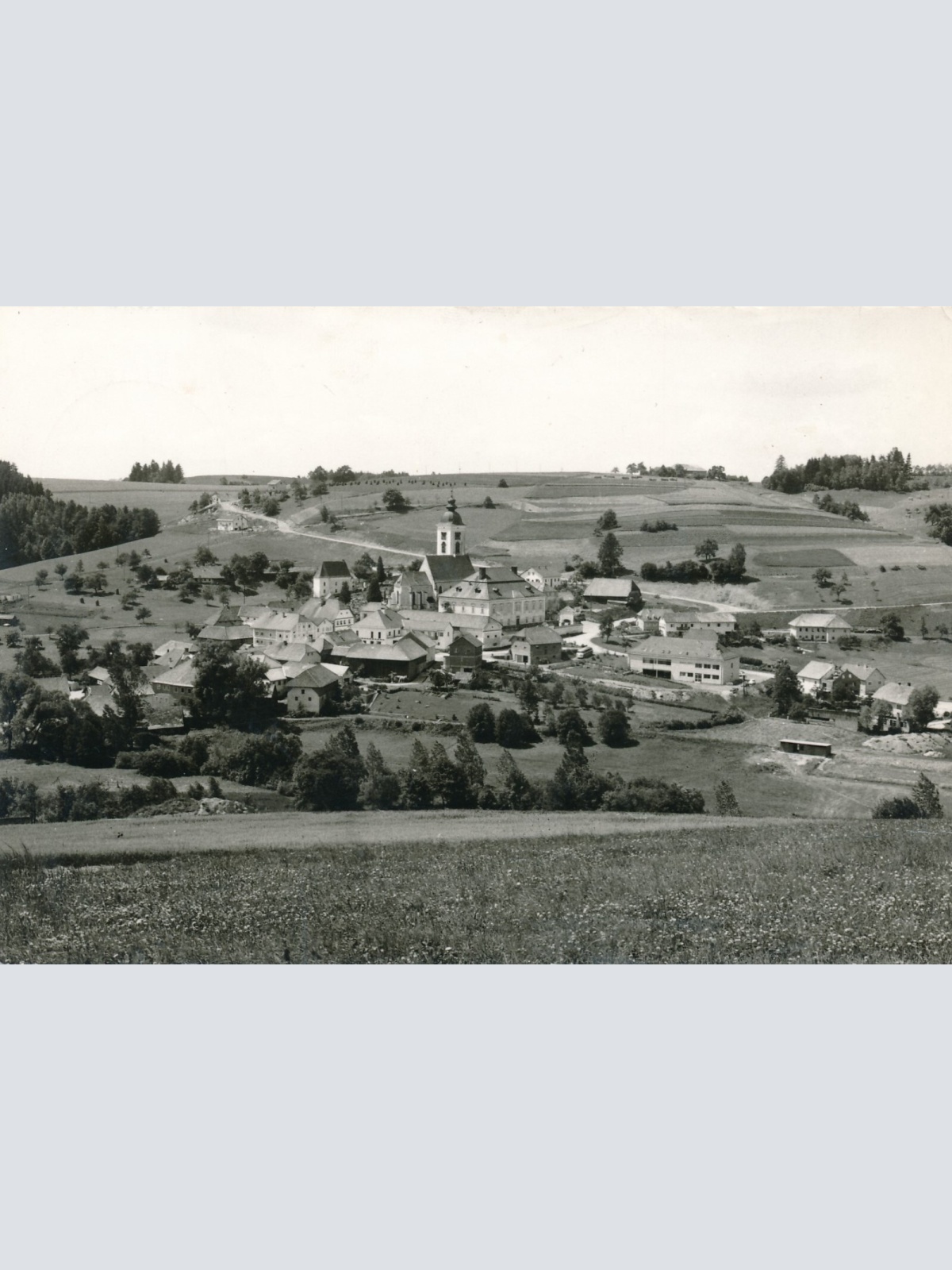 AK aus Niederwaldkirchen Oberösterreich (12924)