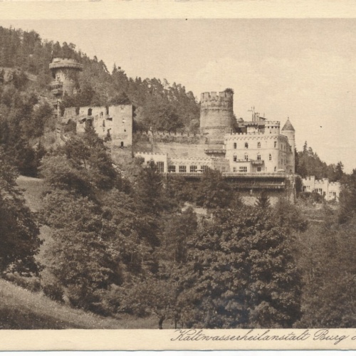 AK Burg Hartenstein Niederösterreich Ansichtskarte (12713)