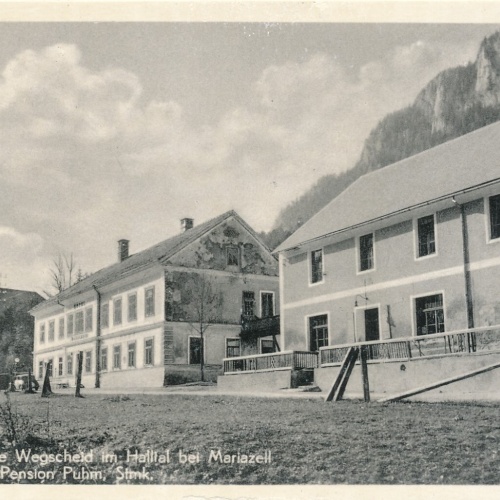 AK aus Wegscheid im Haltal Steiermark Ansichtskarte (12785)