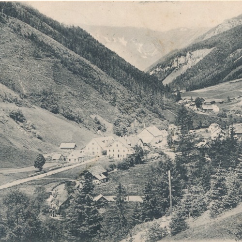 AK, Au bei Aflenz, Steiermark (S2972)