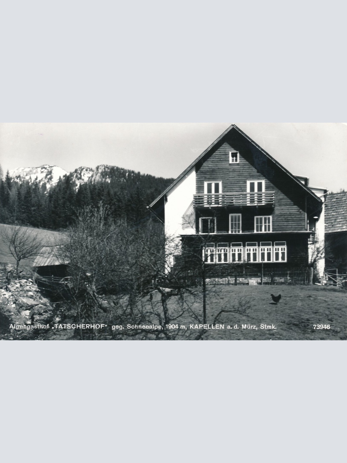 AK vom Alpengasthof Tatscherhof Steiermark Ansichtskarte (13132)