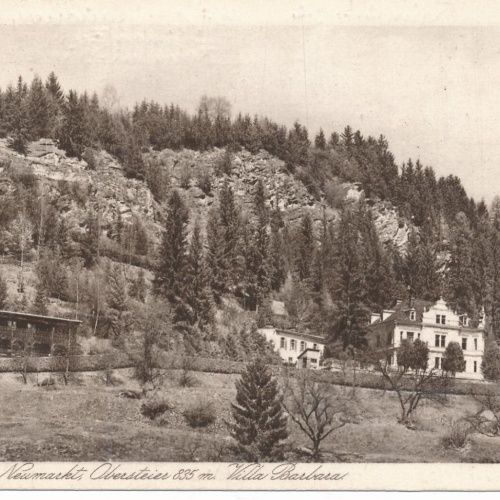 AK aus Neumarkt Steiermark Ansichtskarte (13164)