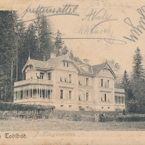 AK gruss aus Tolbad Steiermark Ansichtskarte (12763)