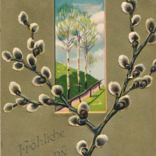 Präge - Motiv - Karte Frohe Ostern mit Palmkatze Ansichtskarte (12658)