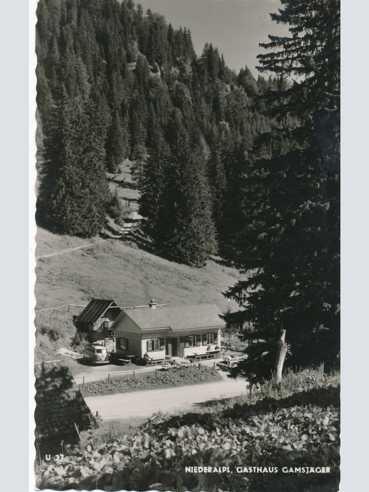 AK aus Niederalpl mit Gasthaus Gamsjäger Steiermark Ansichtskarte (13176)