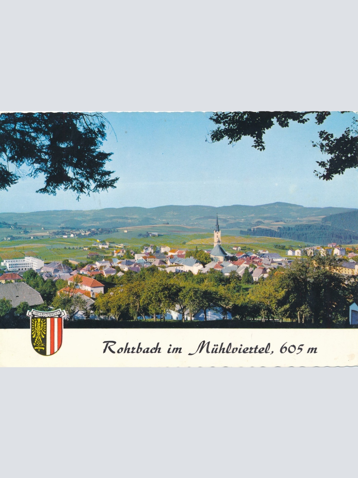 AK aus Rohrbach Oberösterreich Ansichtskarte (J370)