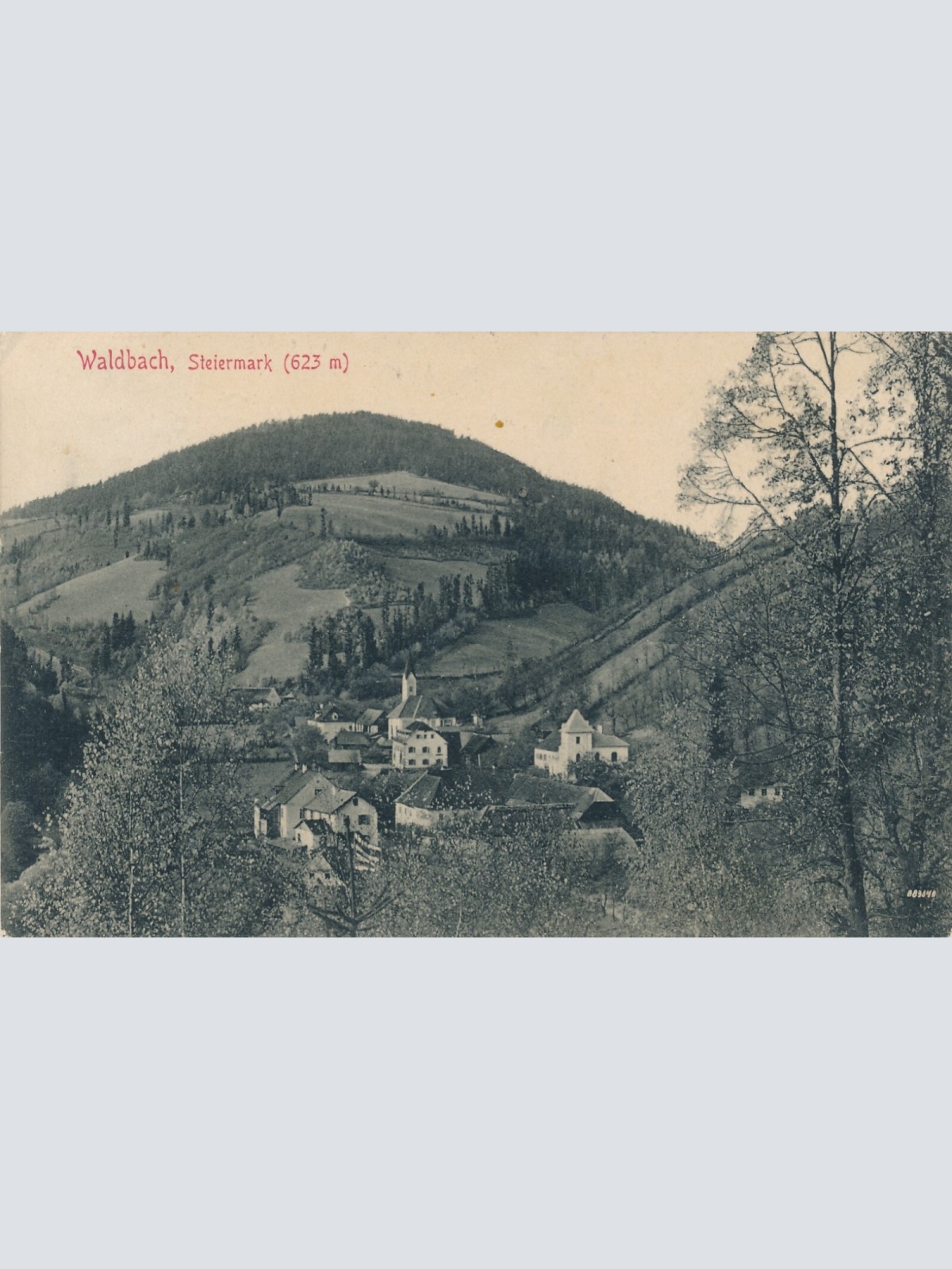 AK aus Waldbach Steiermark Ansichtskarte (13480)