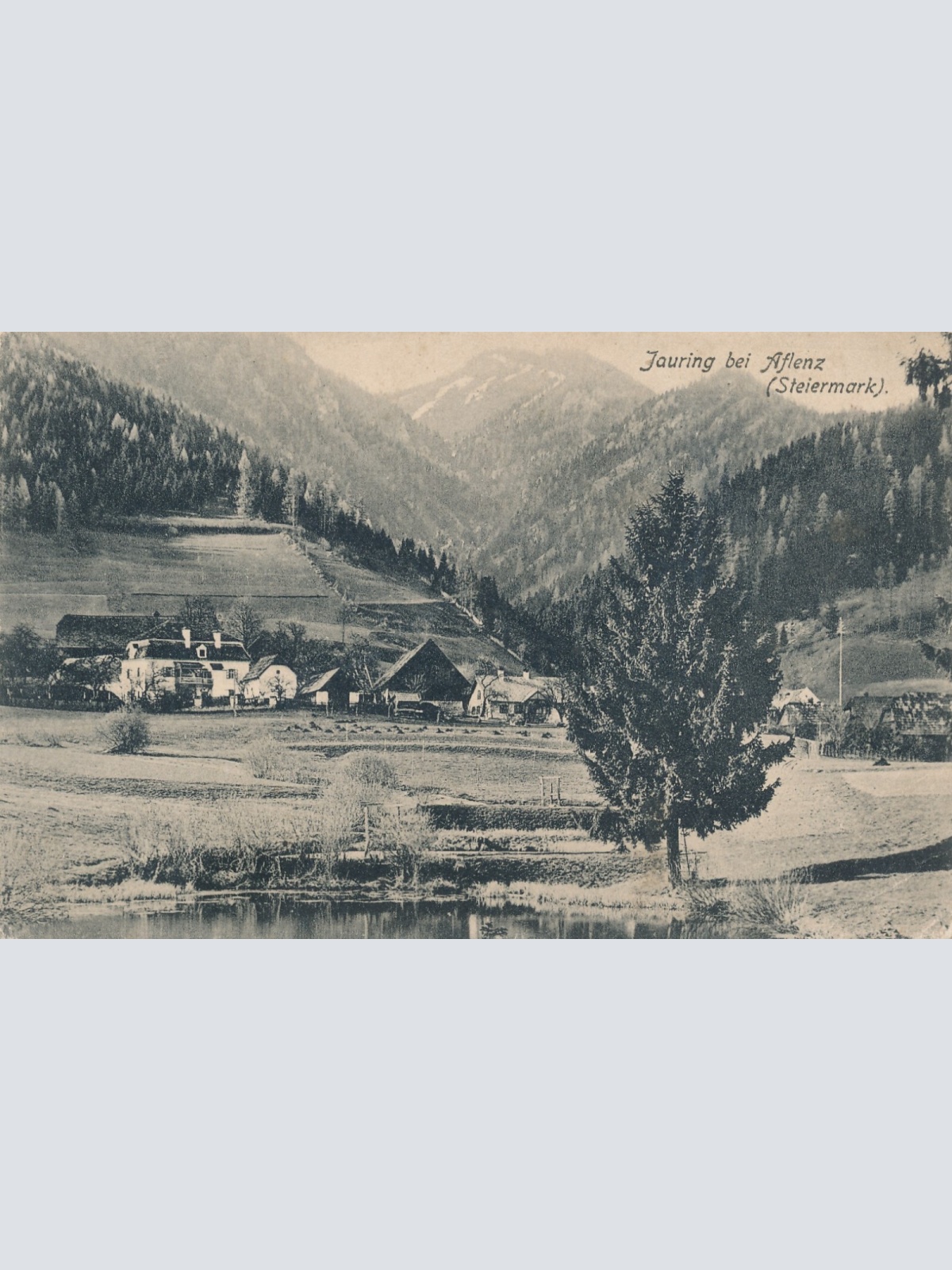 AK aus Jauring bei Aflenz Steiermark Ansichtskarte (13374)