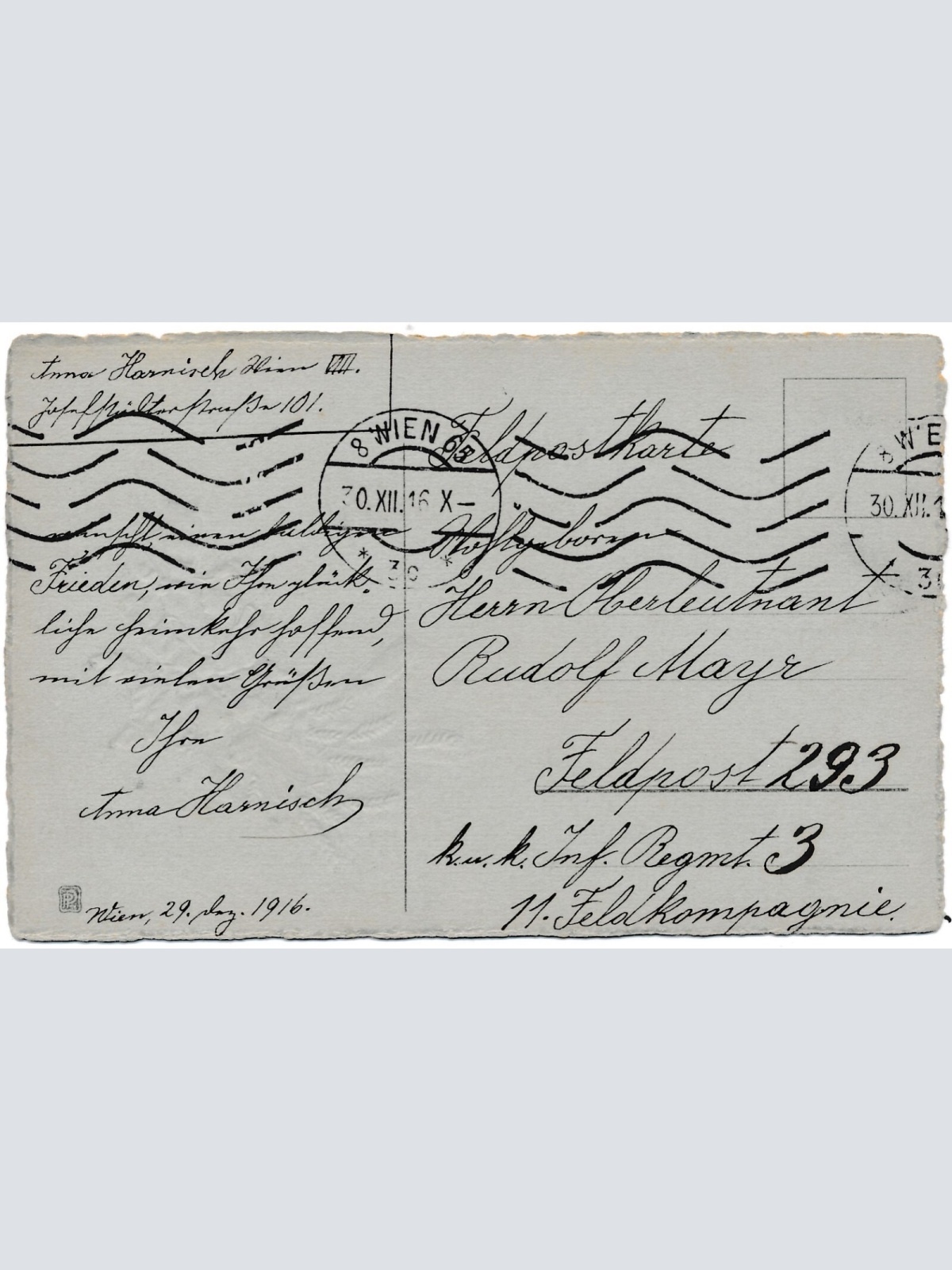 AK, Glückliches Neujahr, Gott schütze Österreich, Ansichtskarte (S3665)