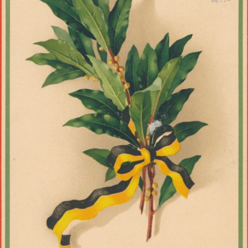 AK, Herzlichen Glückwunsch zum neuen Jahr, Ansichtskarte (S3666)