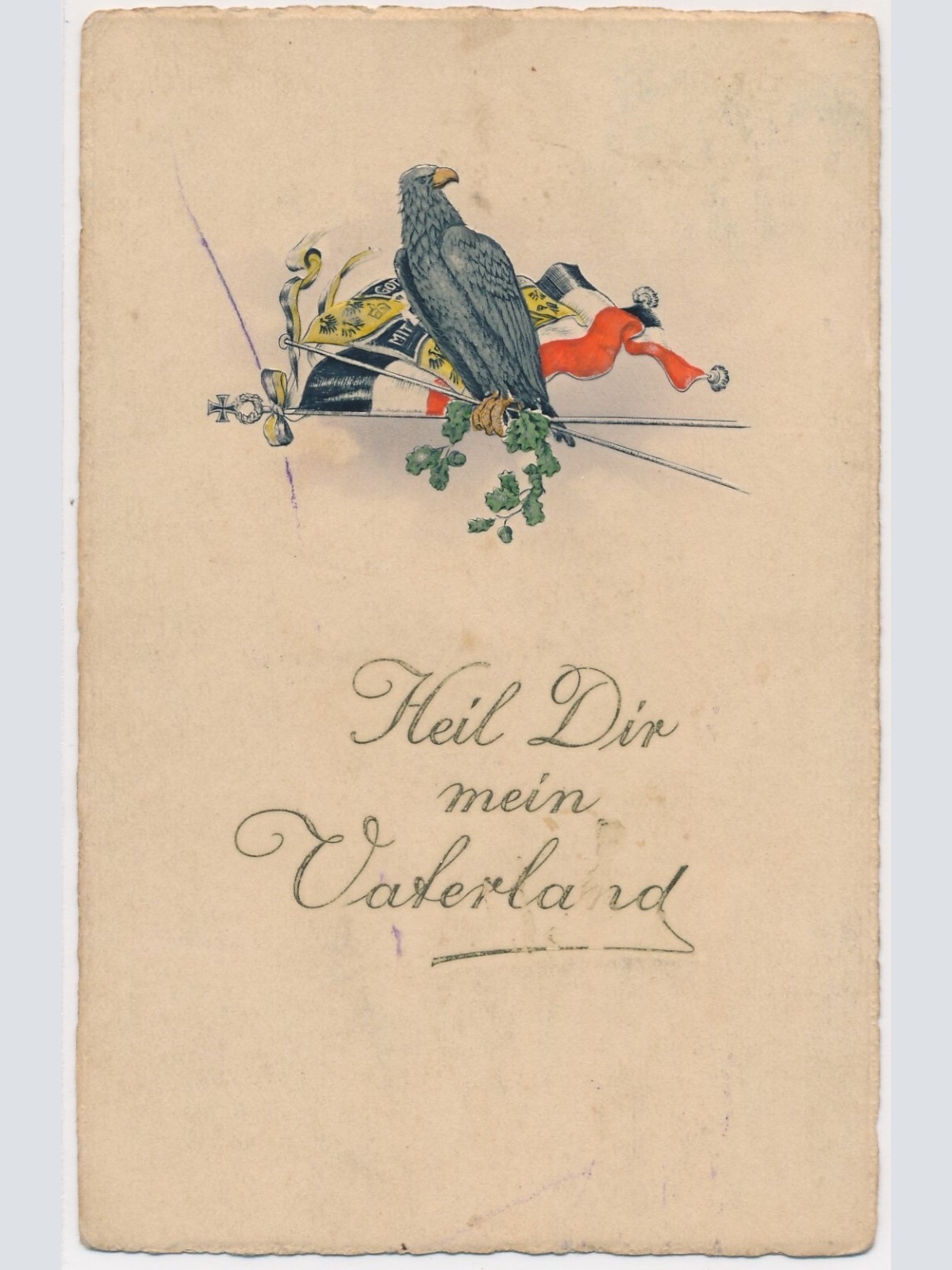 Präge-Karte, Heil dir mein Vaterland, Vogel, Flagge, Ansichtskarte (S3690)