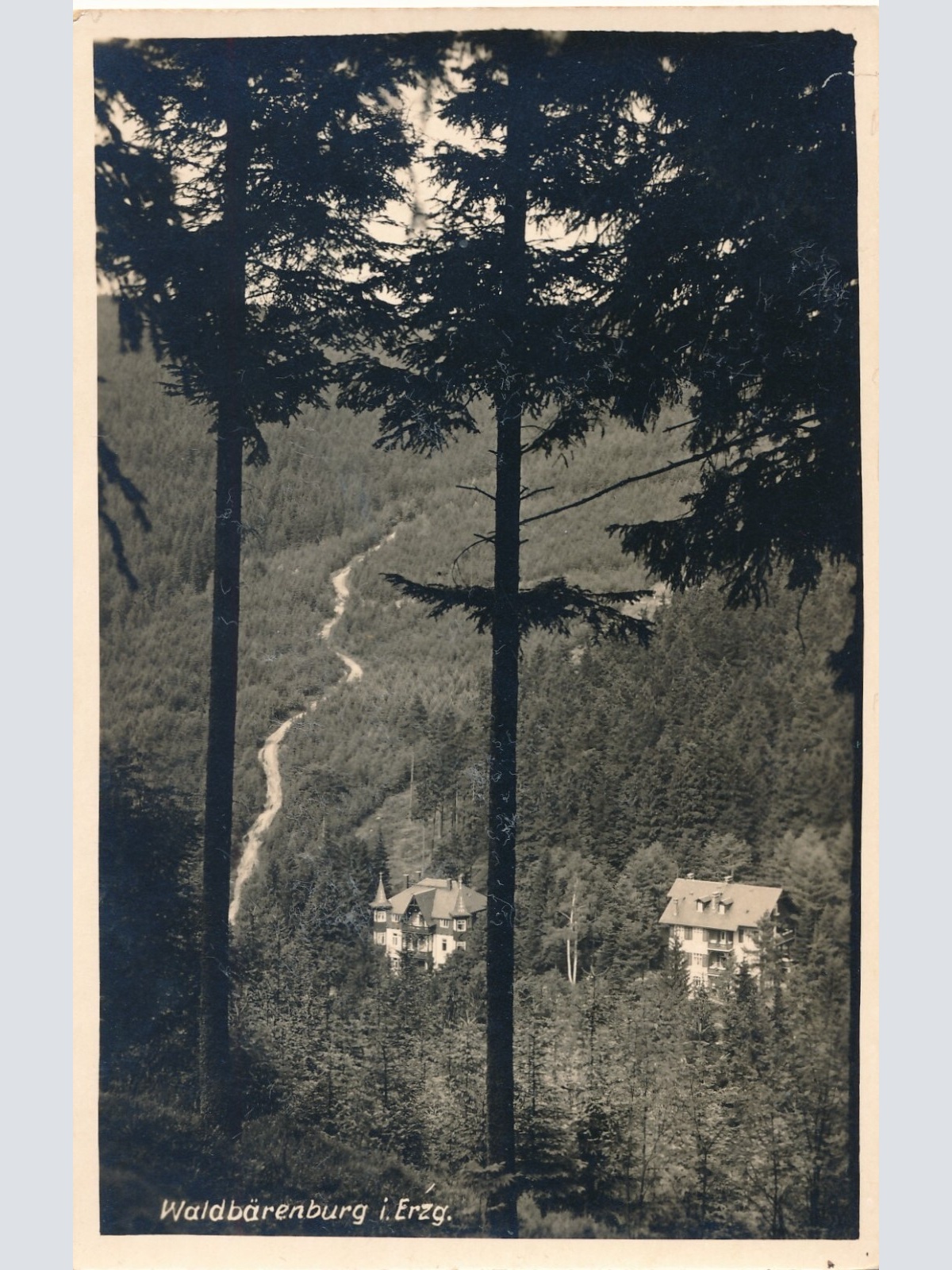 AK, Altenberg, Sachsen, Waldbärenburg, Ansichtskarte (S3847)