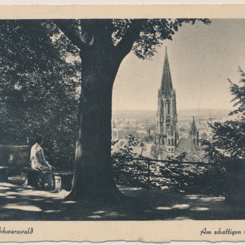 AK, Freiburg, Baden-Württemberg, Ansichtskarte (S3901)