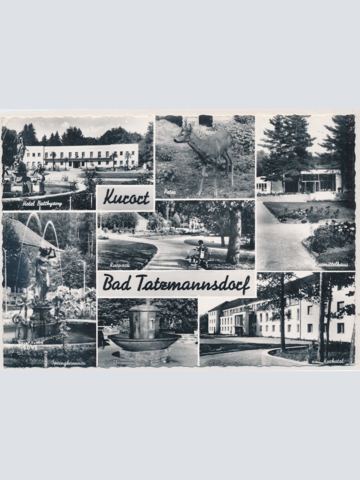 AK, Bad Tatzmannsdorf, Burgenland, Ansichtskarte (S3941)