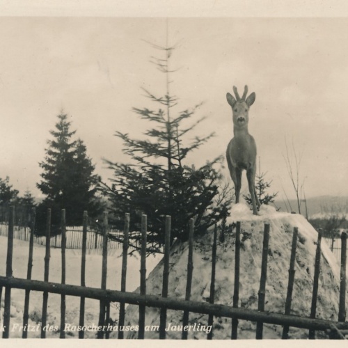 AK, Spitz, Niederösterreich, Ansichtskarte (S4012)