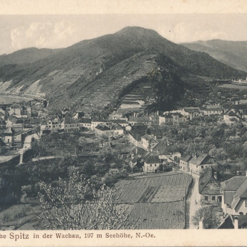 AK, Spitz, Niederösterreich, Ansichtskarte (S4016)