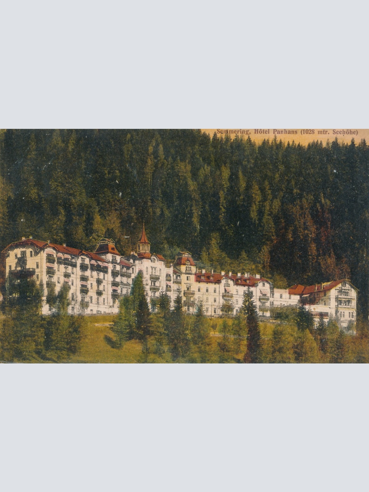 AK, Semmering, Hotel Panhans, Niederösterreich, Ansichtskarte (S4046)